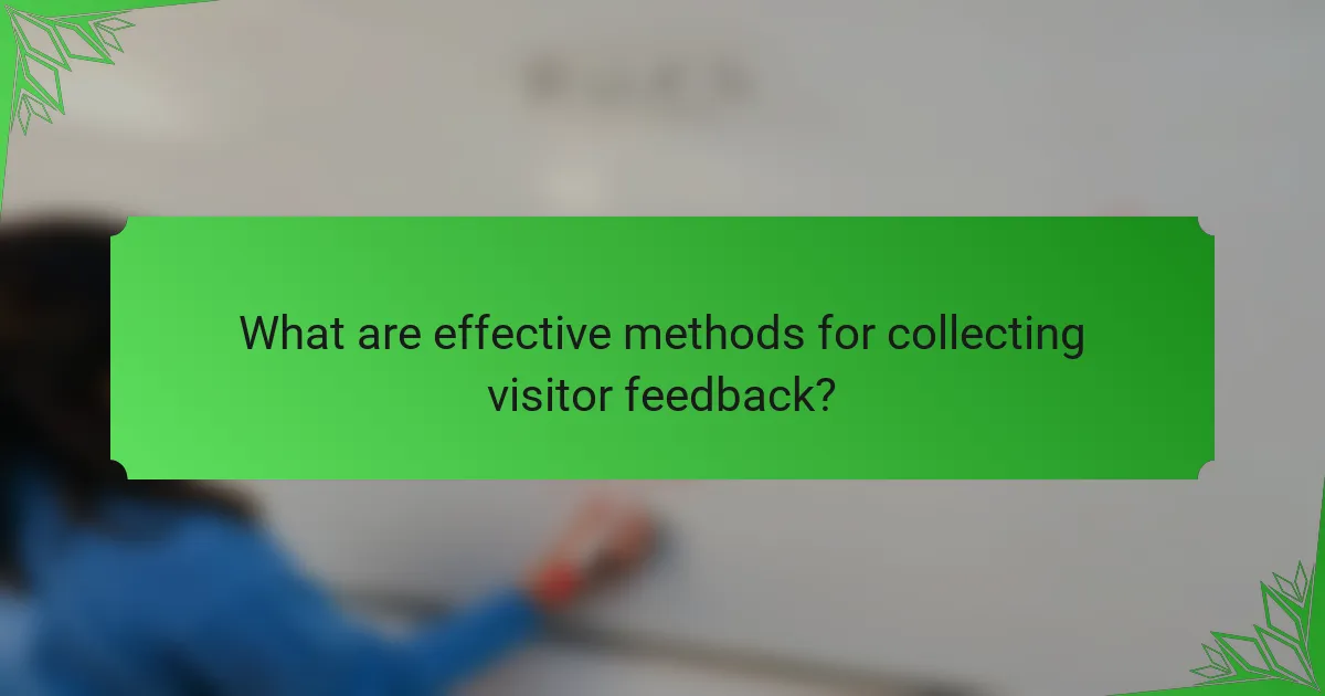 What are effective methods for collecting visitor feedback?