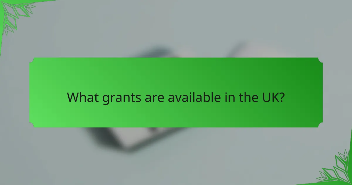 What grants are available in the UK?